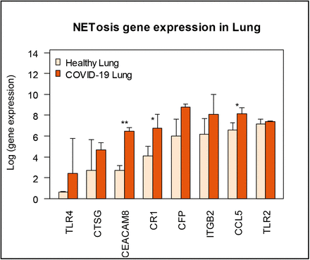 Figure 3: