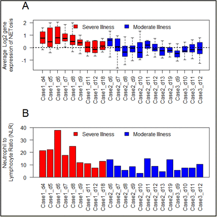 Figure 4: