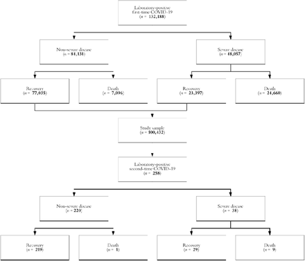 Supplementary Figure 1.
