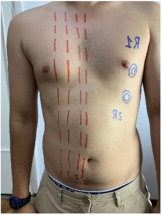 Figure 2: