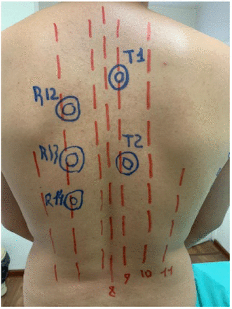 Figure 3: