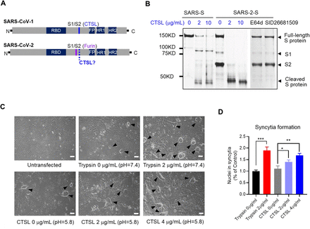 Figure 4: