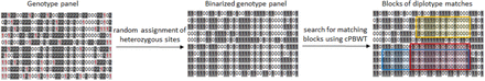 Figure 2: