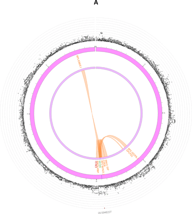 Figure 2: