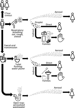Figure 2: