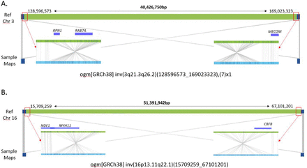 Figure 3: