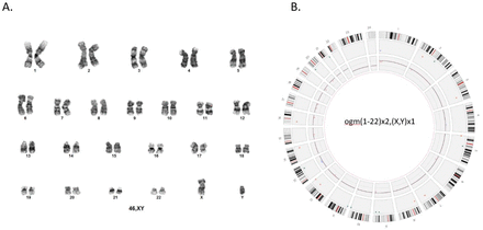 Supplementary Figure 1: