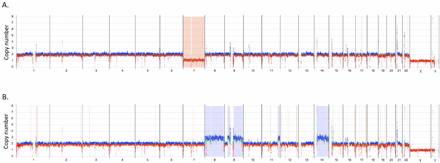 Supplementary Figure 2: