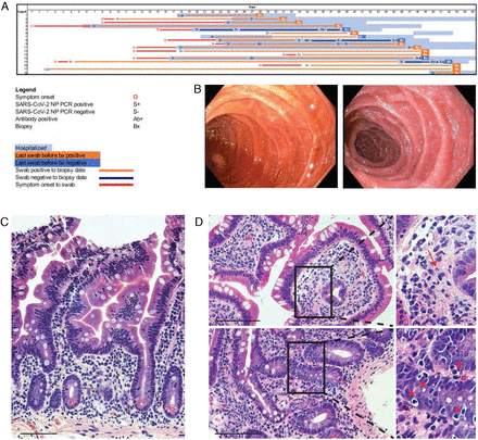Fig 1.