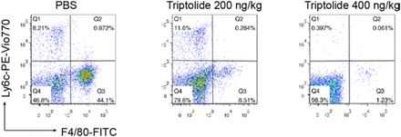 Figure 10.