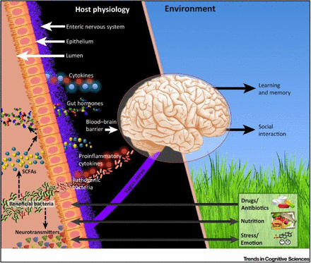 Figure 1: