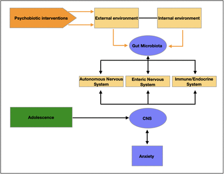 Figure 2: