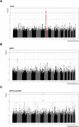 Figure 2:
