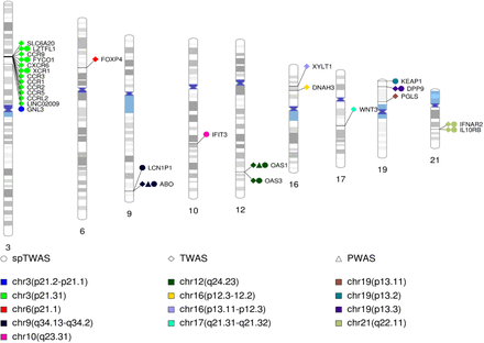 Figure 1: