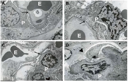 Figure 5.