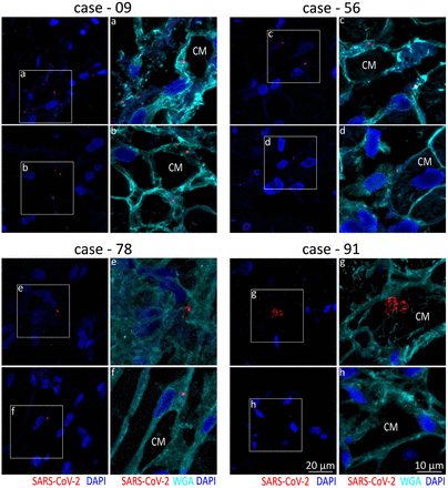 Figure 3: