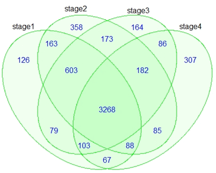 Figure 14.