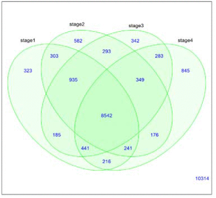 Figure 9.