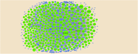 Fig. 12.