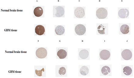 Fig. 20.