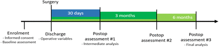 Suplementary Figure 1