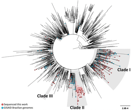 Figure 2: