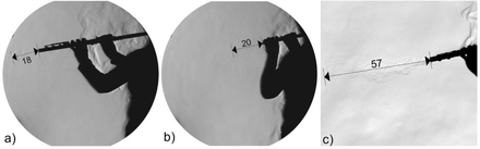 Fig. 12.