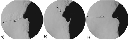 Fig. 20.