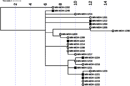 Figure 5A-B.