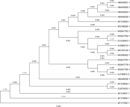 Figure 2.