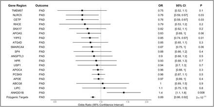 Figure 4: