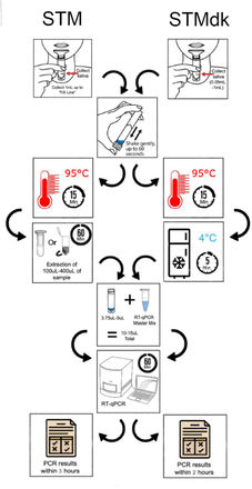 Figure 1: