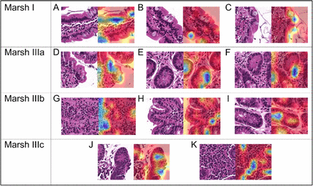 Figure 4: