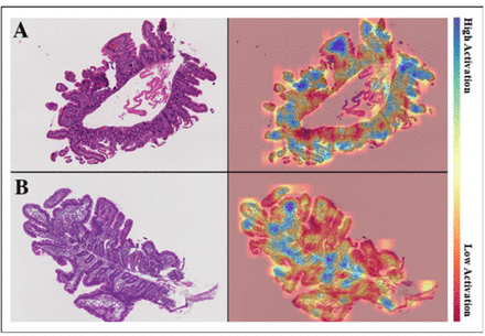Figure 5: