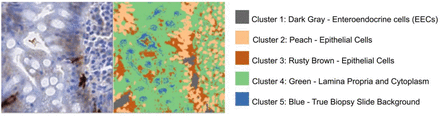 Figure 7: