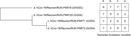 Figure 2: