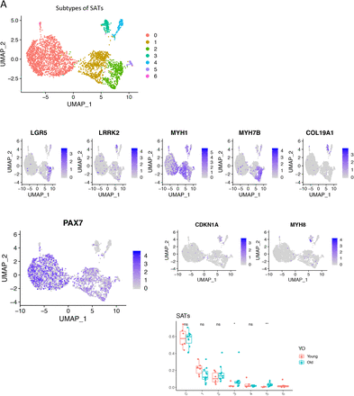 Suppl. Figure 6.