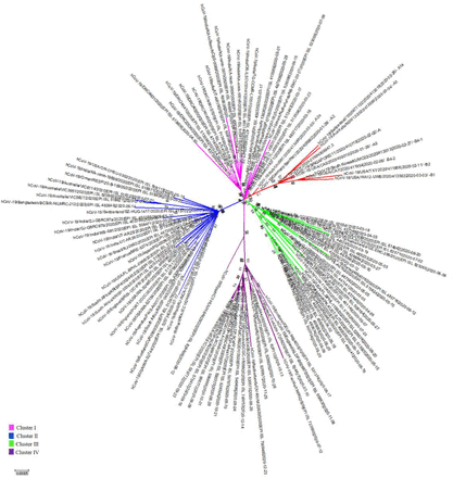 Figure 2: