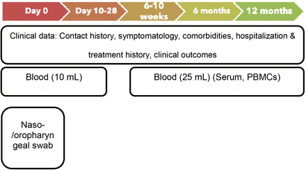 Supplementary figure 1.