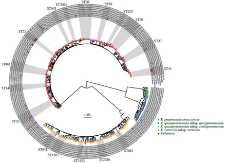 Figure 4: