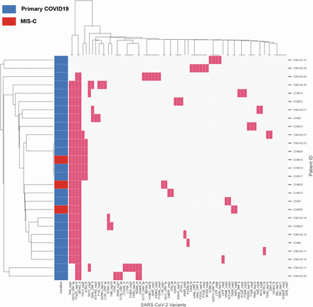Fig 3.