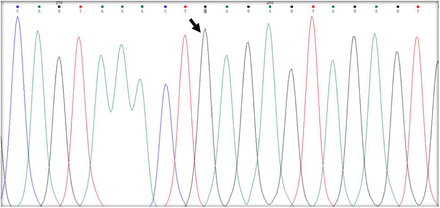 Figure 2b: