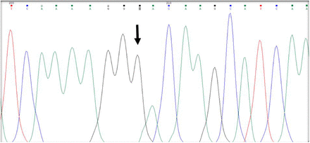 Figure 2c:
