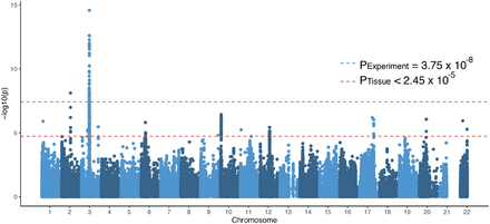 Figure 1: