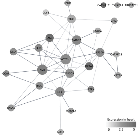 Figure 2: