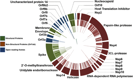 Figure 3: