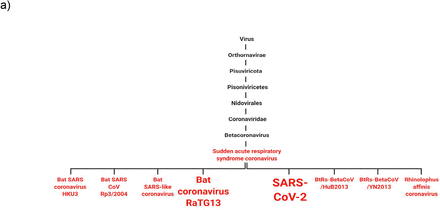 Figure 6: