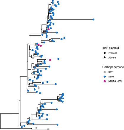 Figure S5: