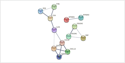 Figure 6: