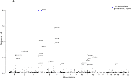 Fig 1.